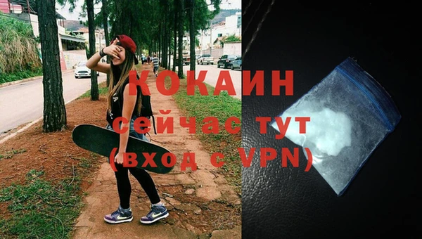 трава Осинники