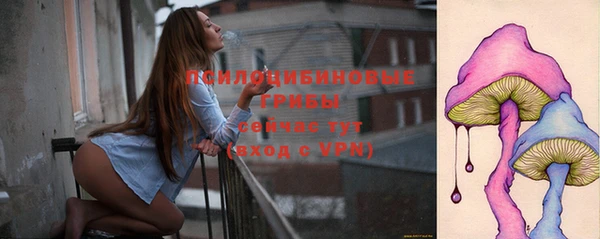 трава Осинники