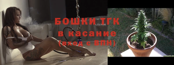 трава Осинники