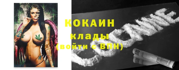 трава Осинники
