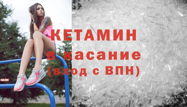 трава Осинники