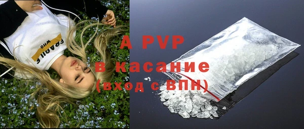 трава Осинники