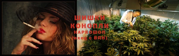 трава Осинники